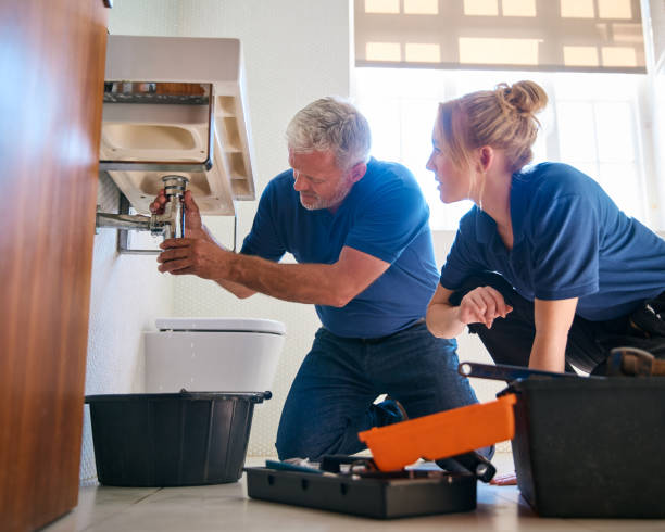 Best Affordable Plumber Near Me  in Dyersville, IA